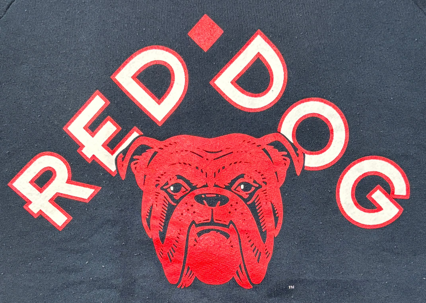 '95 Vintage Red Dog Beer Blk Sweathshirt - LRG