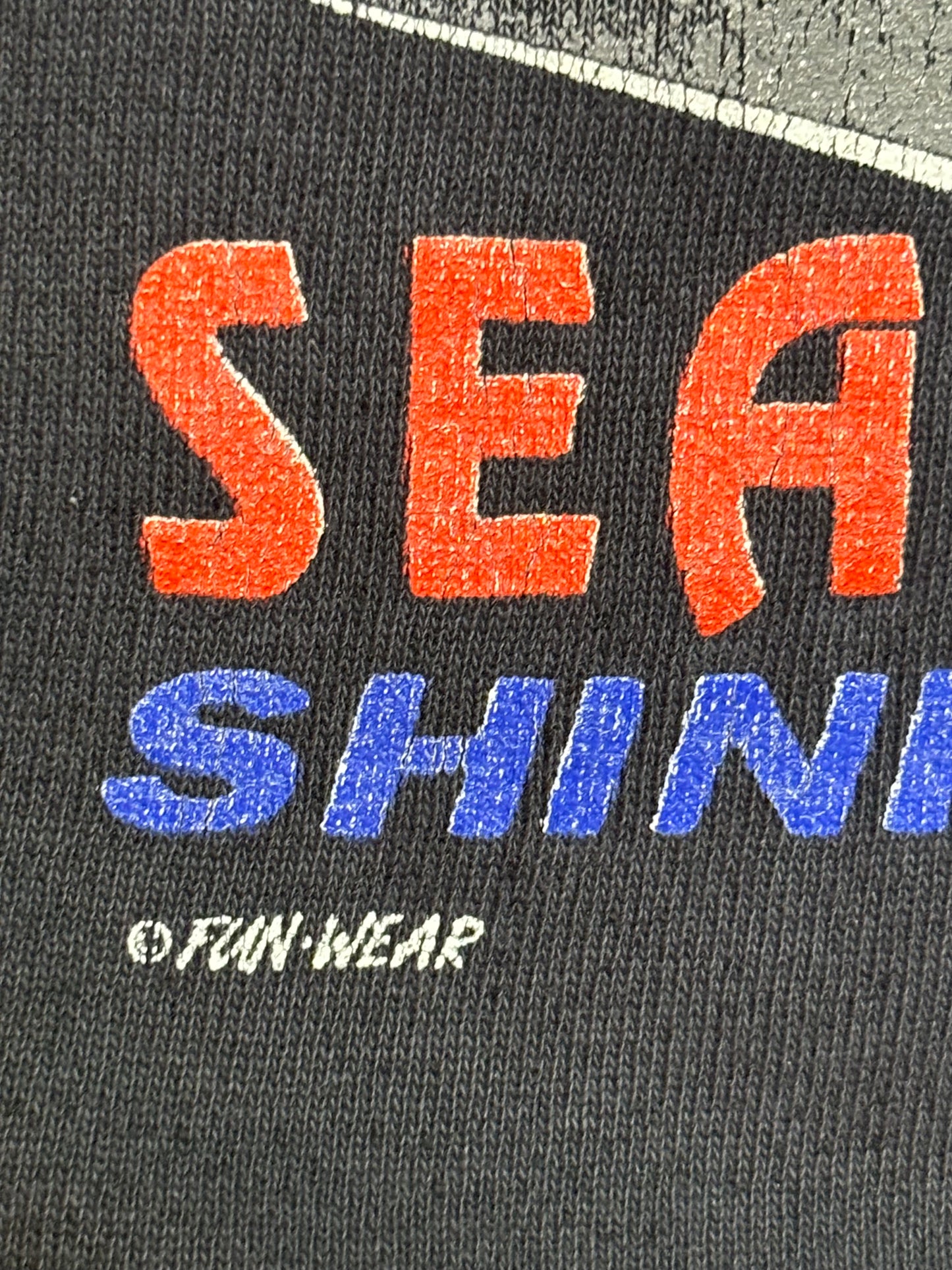 1990's Vintage Black Harley-Davidson "Sea to Shining Sea" Sweatshirt - LRG