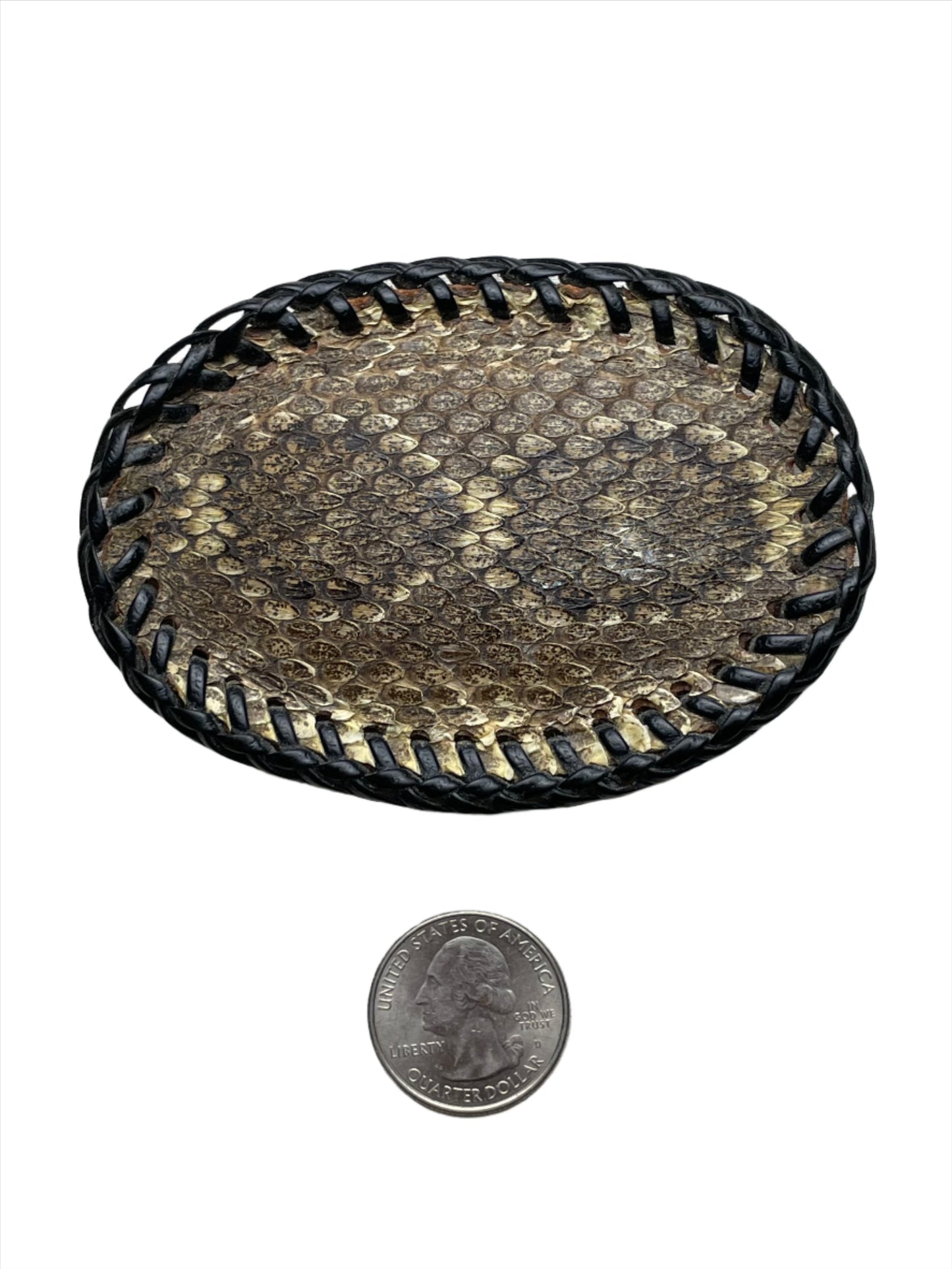 '80s Vintage Wild Winds Rattlesnake Belt Buckle