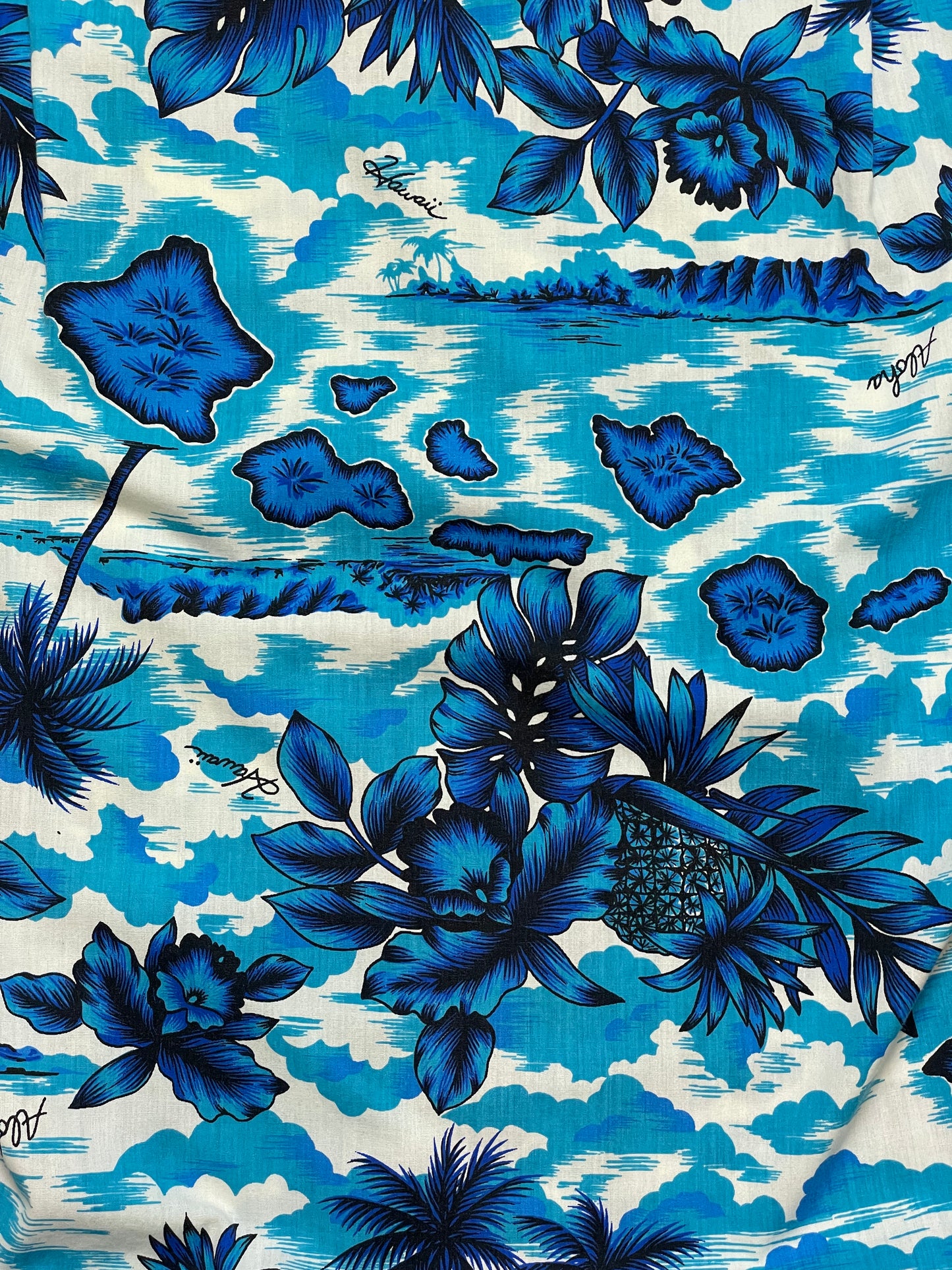 '70s Vintage Blue Aloha Pineapple Hawaiian Shirt - Lrg